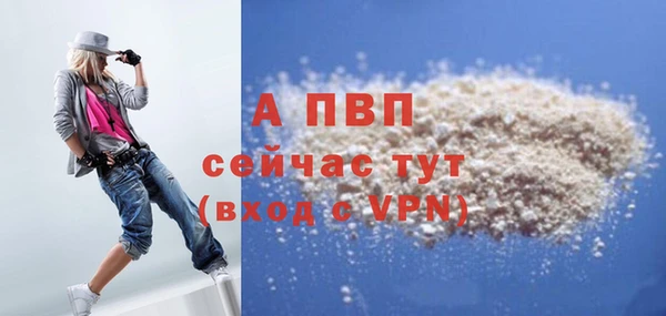 ECSTASY Балахна