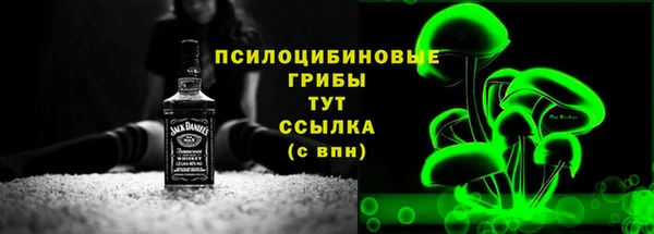 индика Балабаново